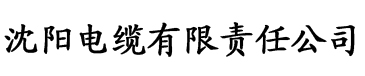 扣扣影视电缆厂logo